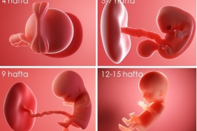 Hafta Hafta Gebelik Yolculuğu ve Vücudunuzdaki Değişimler