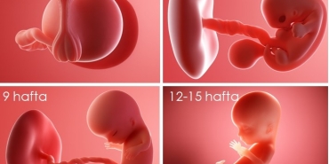 Hafta Hafta Gebelik Yolculuğu ve Vücudunuzdaki Değişimler